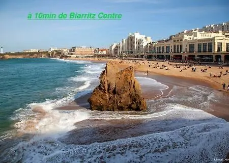 10pers Piscine Terrasse Barbecue Parking Arbonne